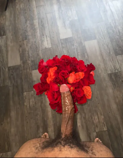 I just brought more flowers do you like them?