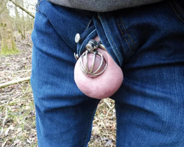 if you go down to the woods today