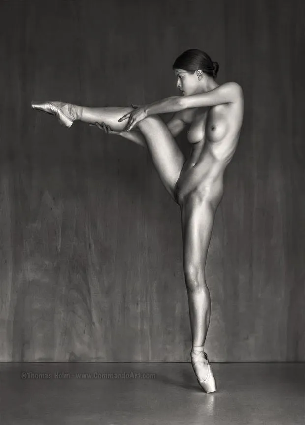 Loaded Gun, by Thomas Holm