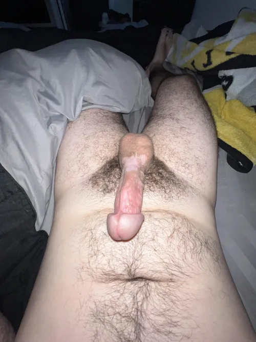 Need this thing sucked