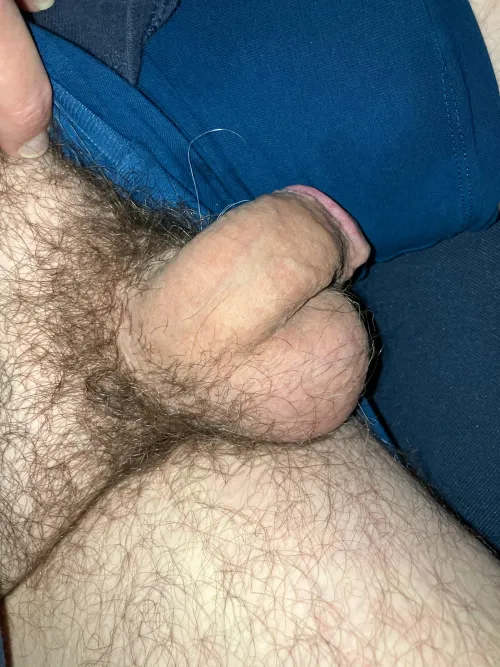 Not hard yet some one want to help