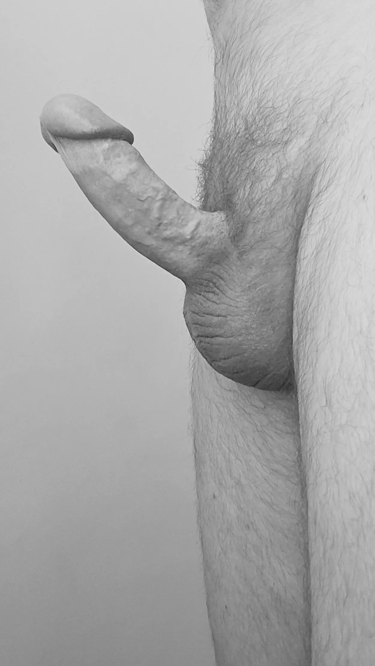 Profile of a (my) penis