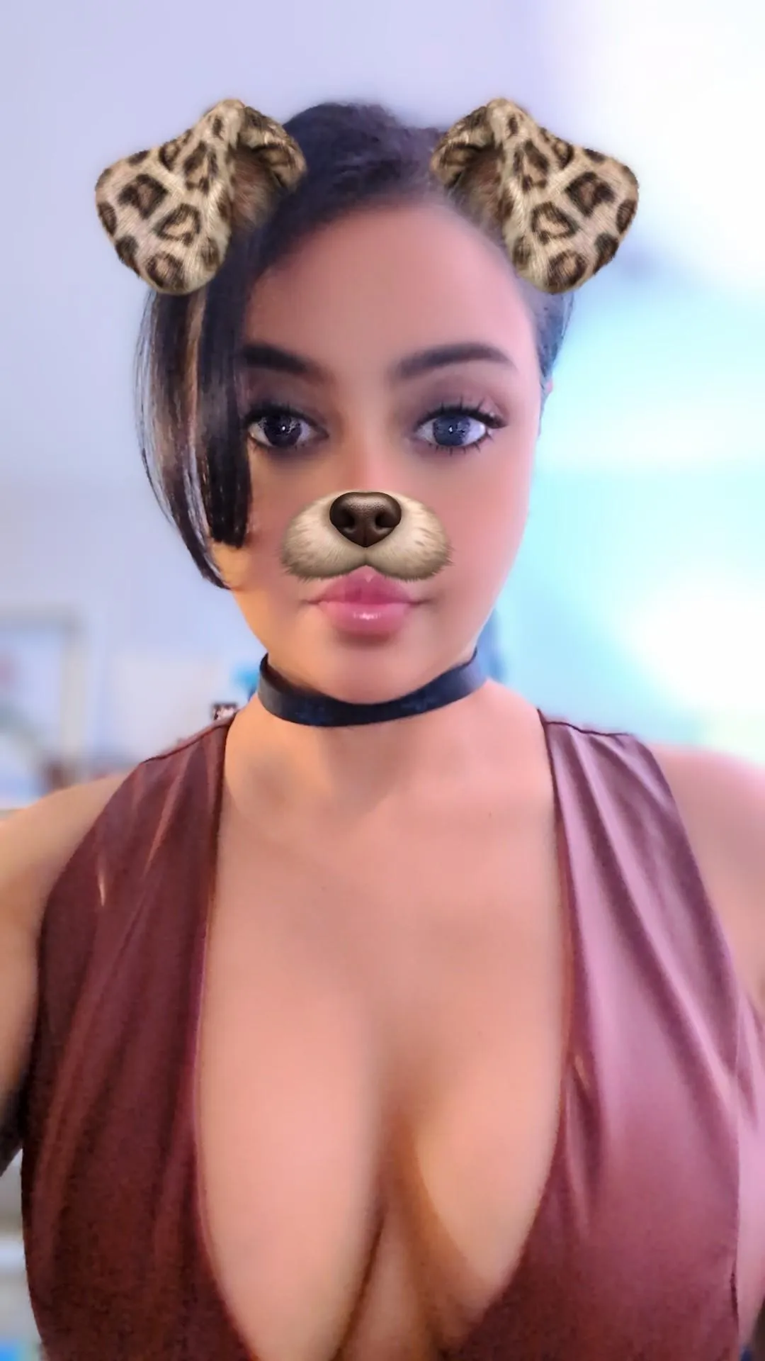 Puppy needs some playtime.