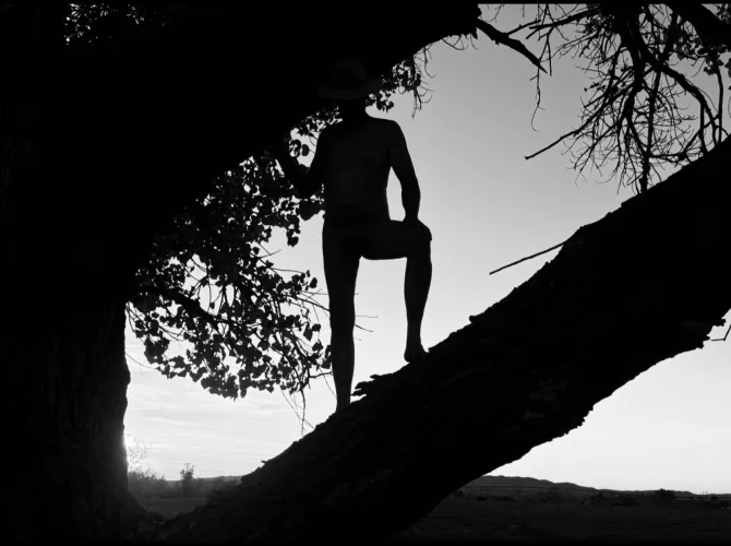 Sunset silhouette in black and white