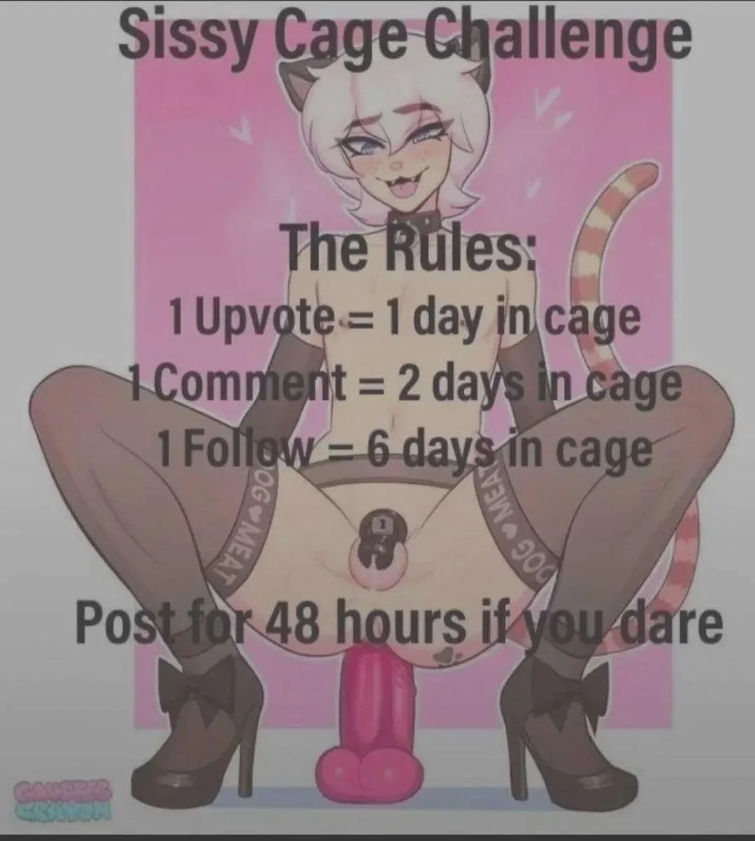 Voté pour m'aider à détruire mon penis dans la cage 🤭!