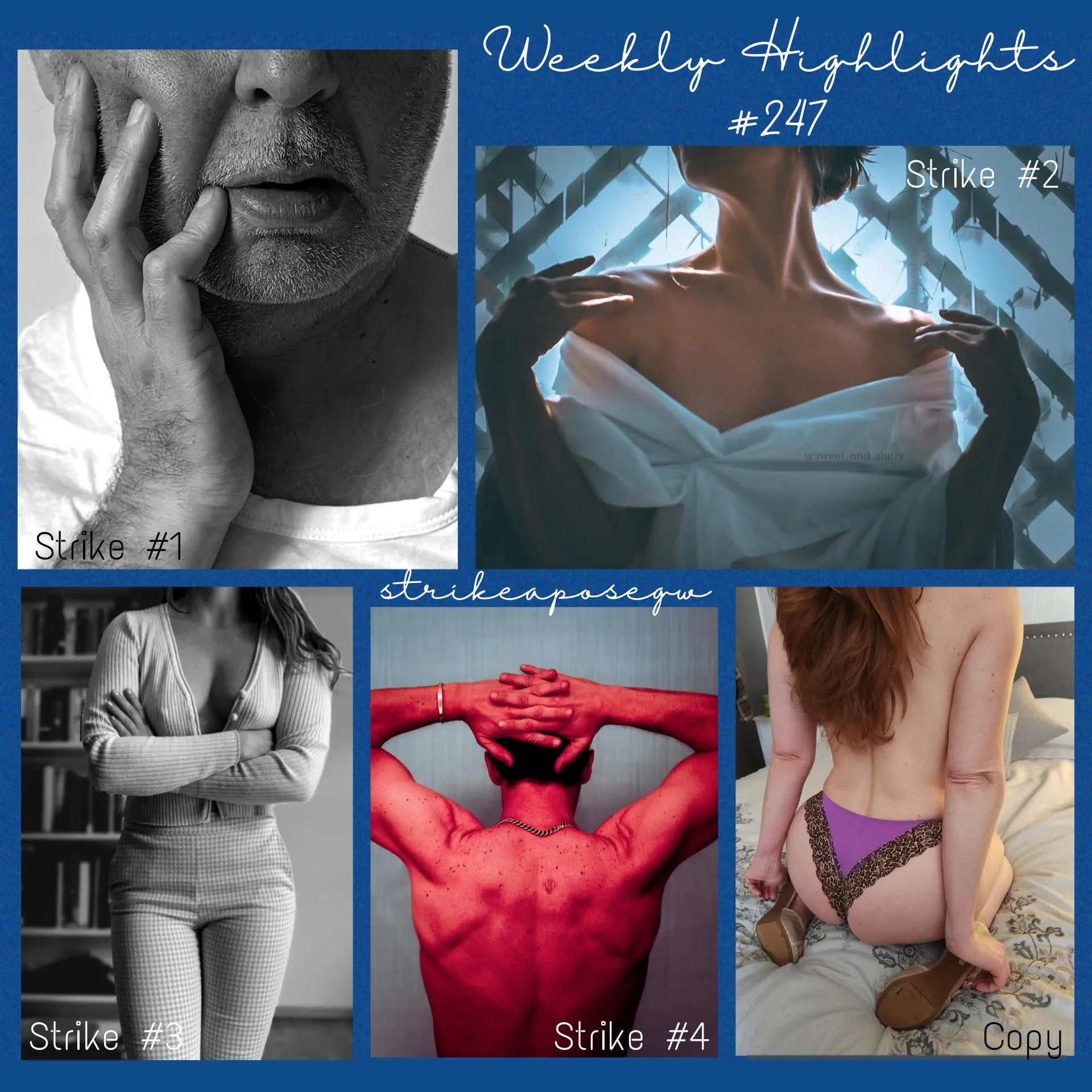 Weekly Highlights #247