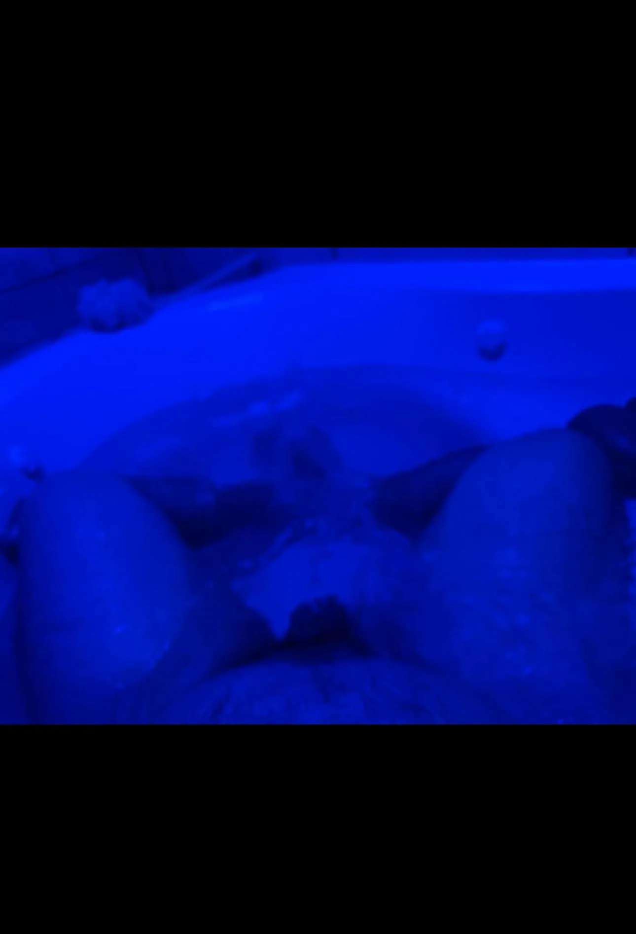 Who likes jacuzzi’s ?😜