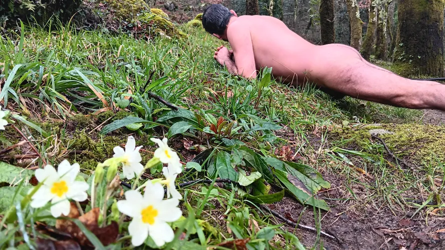 Winter flowers 👌😊