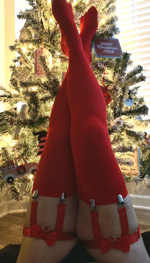 Another exclusive for follower Christmas pic.  Let me know your thoughts