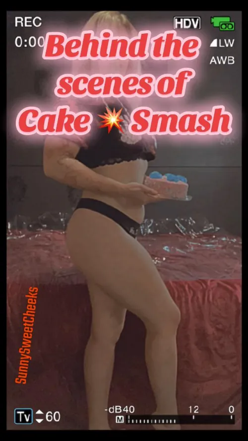 Behind the scenes of cake sitting