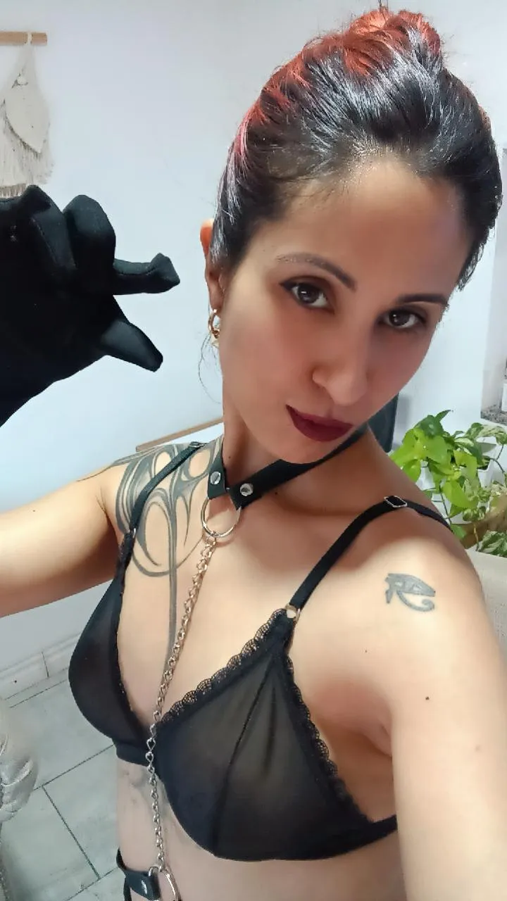 Bring that shrimp and let me have fun with it