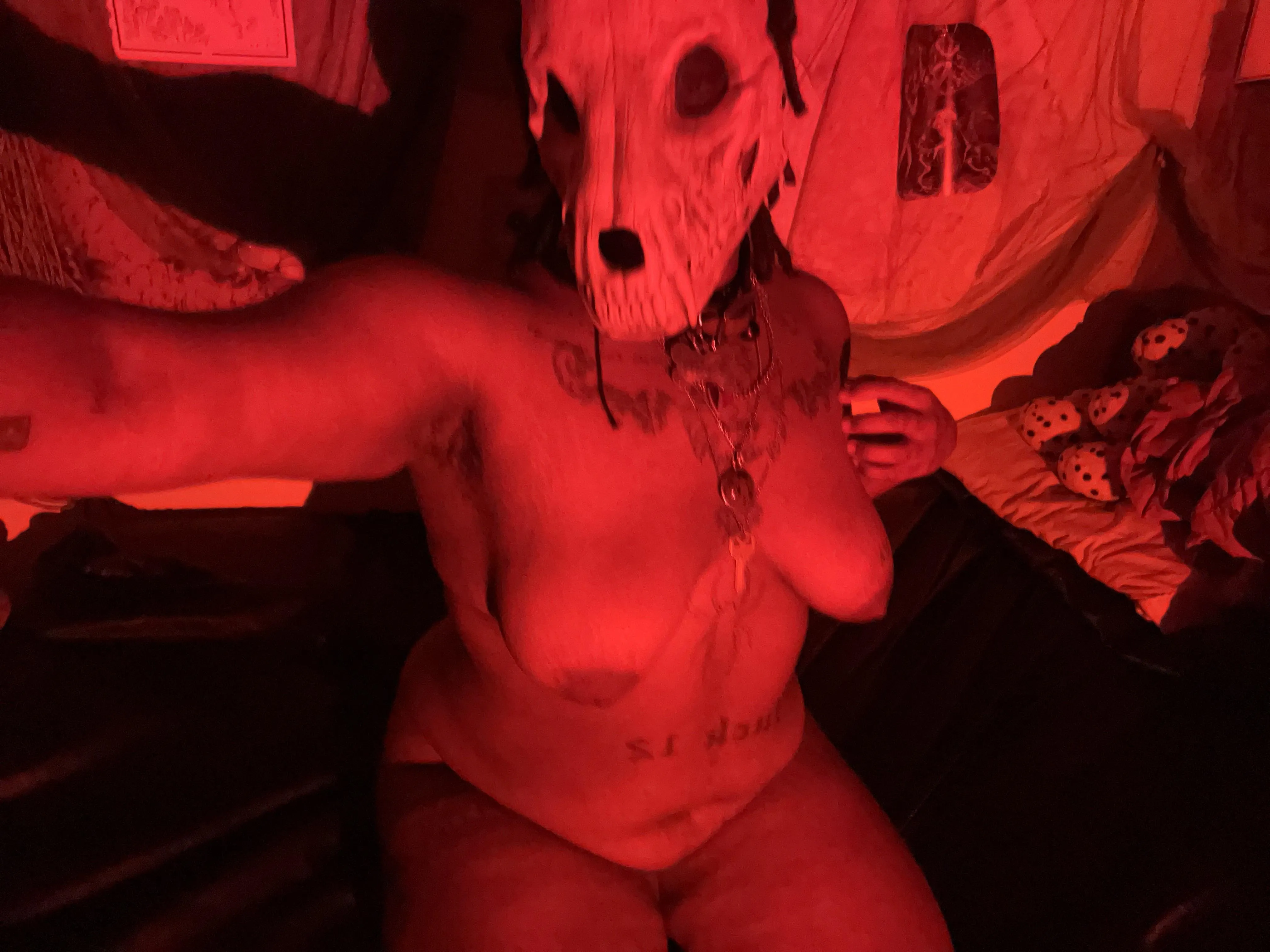 dog monster dyke 𓃦