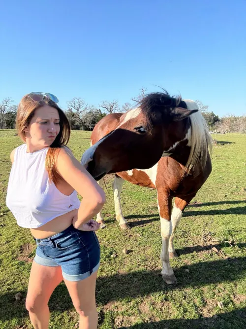 Just you normal slutty horse lover