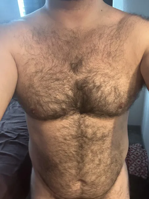 Who wants to rub my hairy chest and belly?