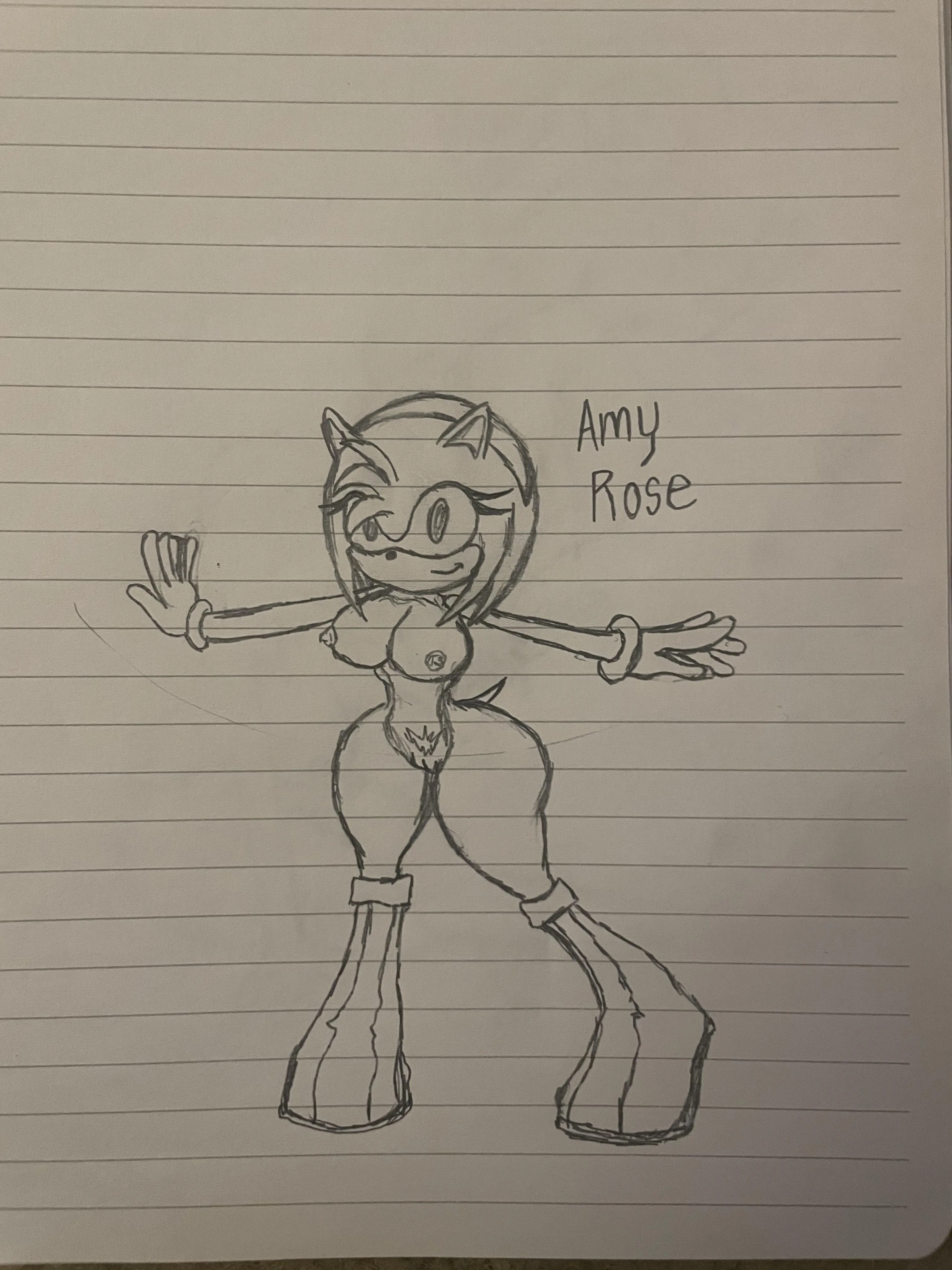 Amy Rose drawn by me