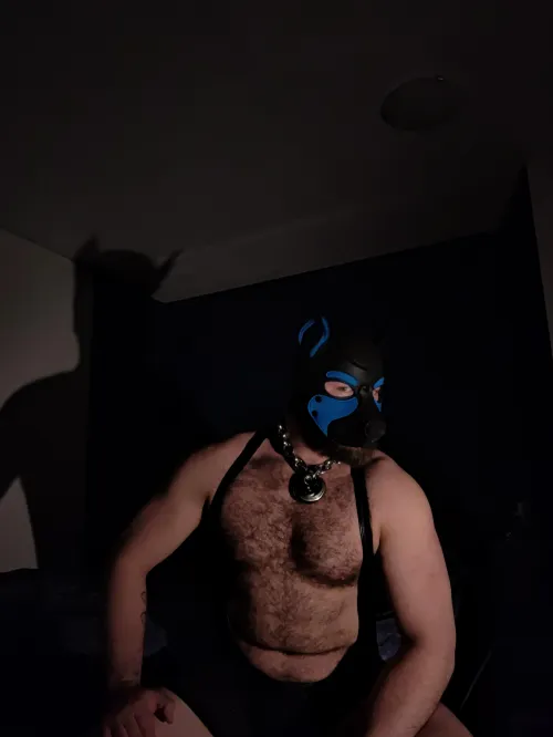 Are you gonna keep me waiting or are you gonna be a good pup and get on your knees