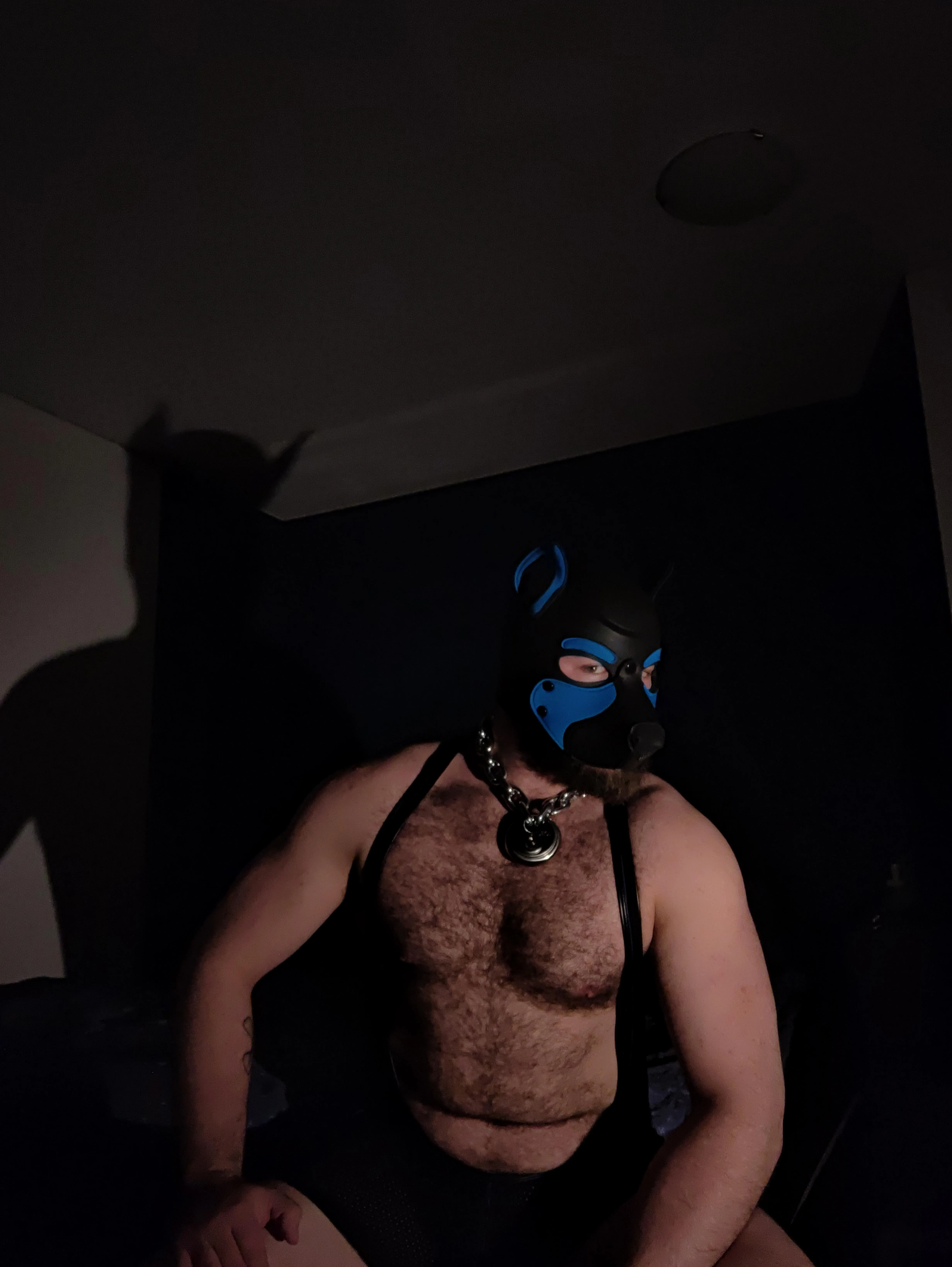 Are you gonna keep me waiting or are you gonna be a good pup and get on your knees
