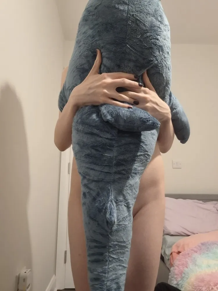 Blahaj helping cover me ><