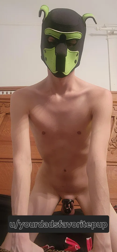 Cage check arf!🐶👉👈