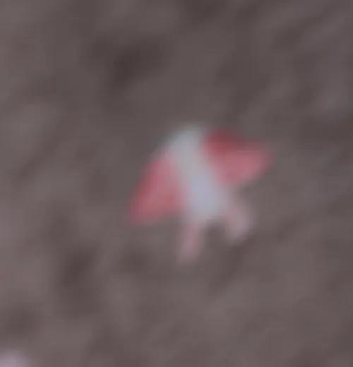 finished piece 😍😍