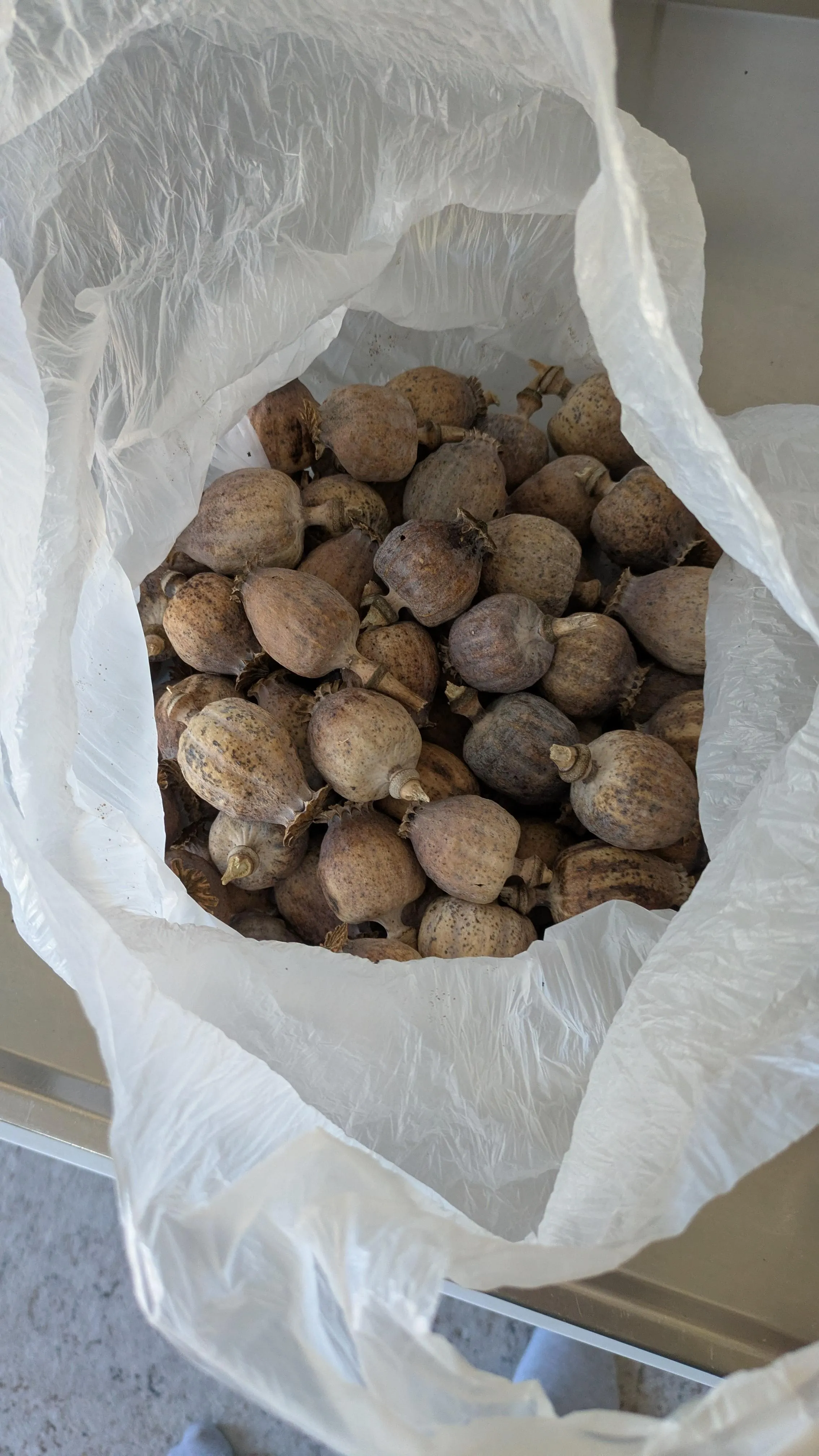 Friends in all the right places!