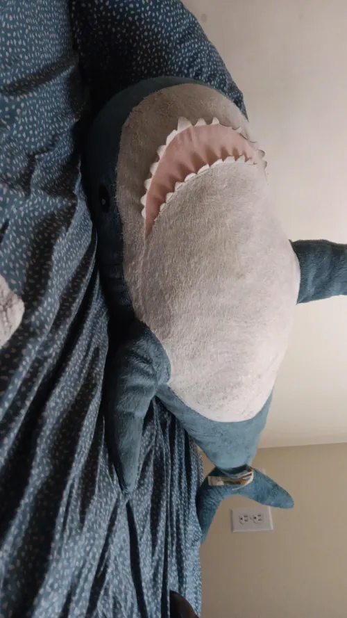 I love when I get home and my girl is waiting and ready for me 