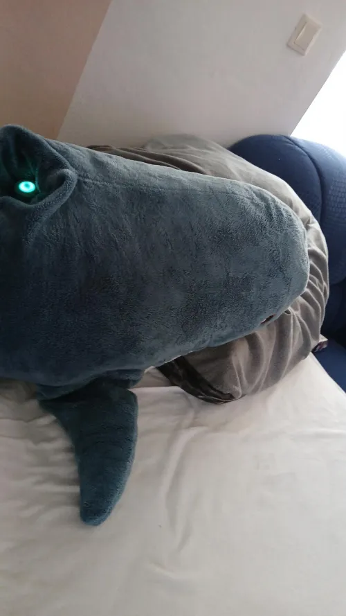 I make the blahaj humping more intresting >w<