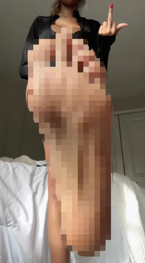 Kneel to me and let me step on you like the little bug that you are