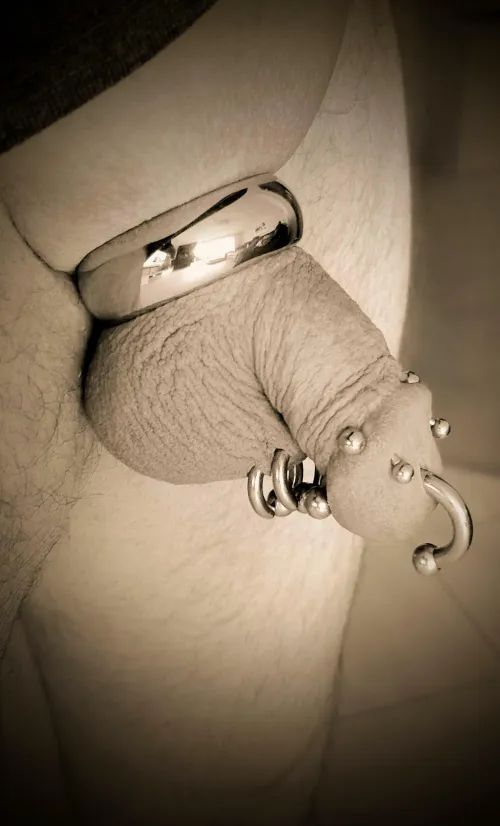 Low cut, pierced and ringed 😁