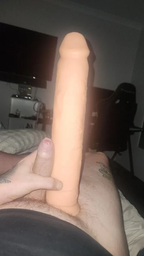 Me compared to my wifes dildo