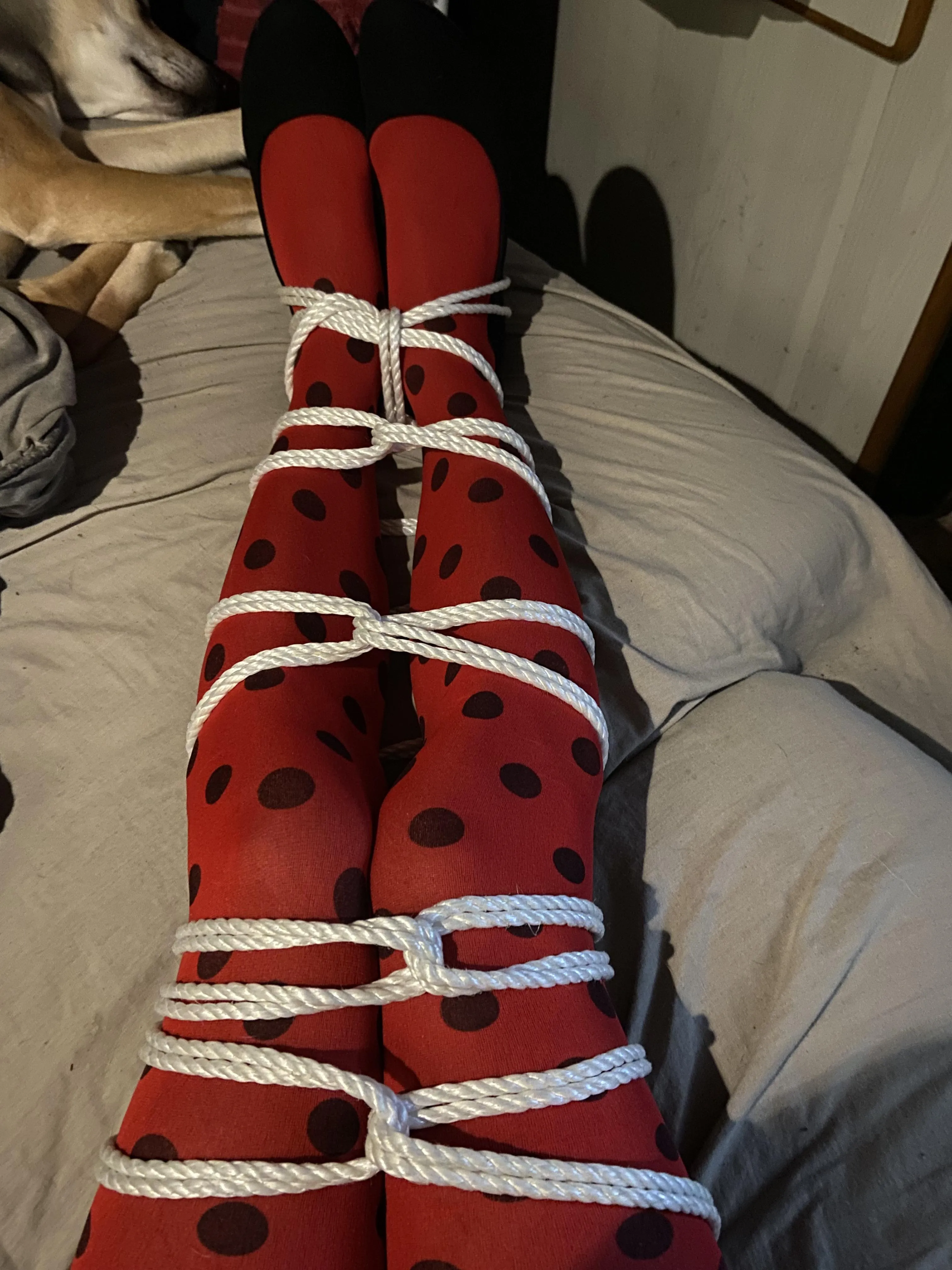 Relaxed 🥰 ( selfbondage )