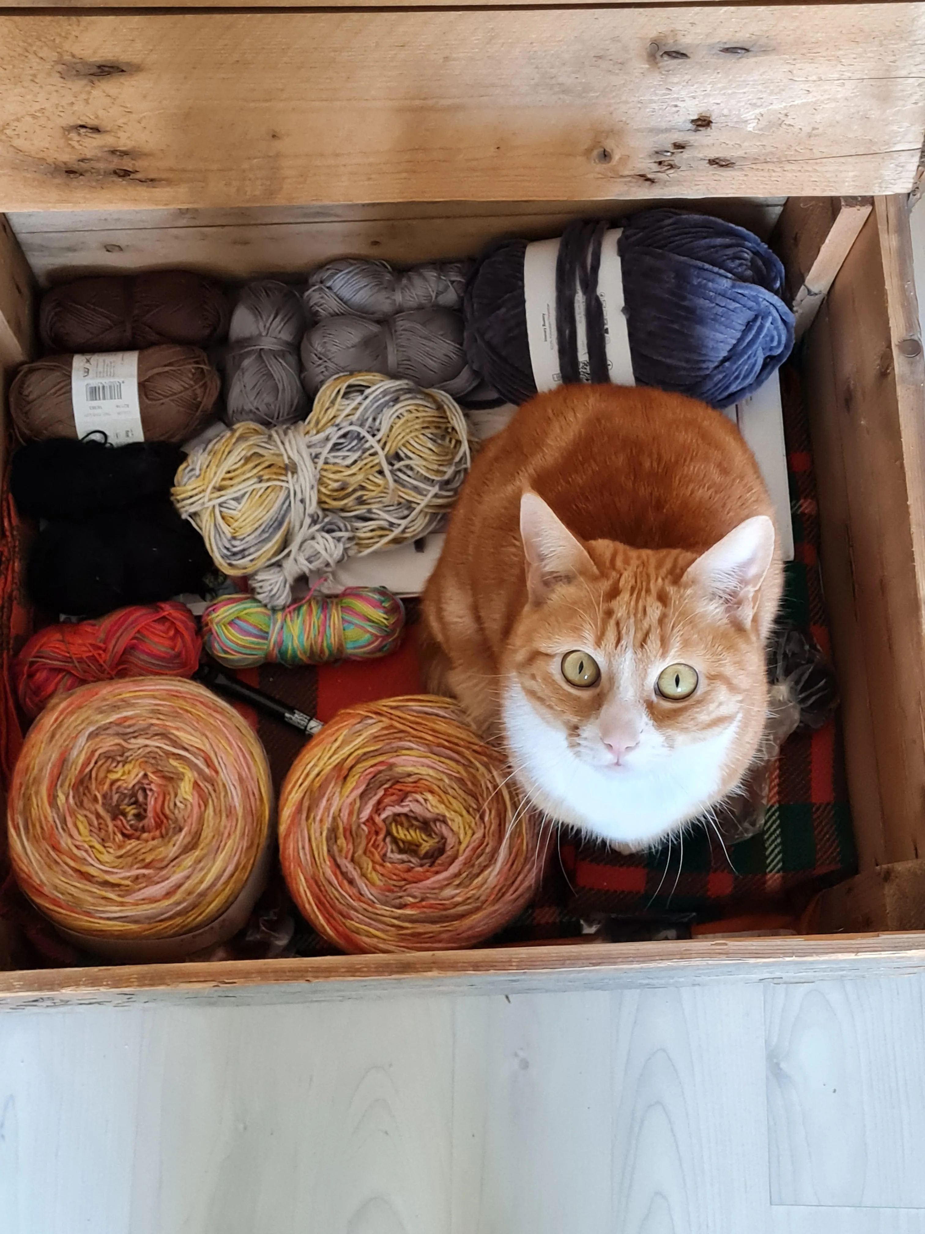 Ugh, this is what happens when you don't check the dye lot numbers on your skeins...