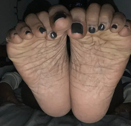 Big and Meaty fuckers… think you could cover them?