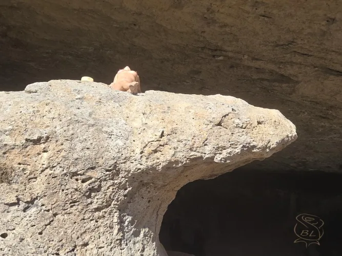 Do my little beacons beckon? 🤭