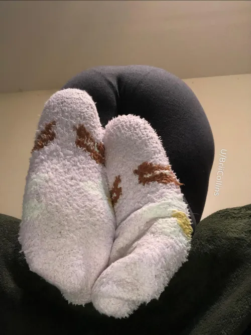 Fuzzy and comfy! ☺️😍