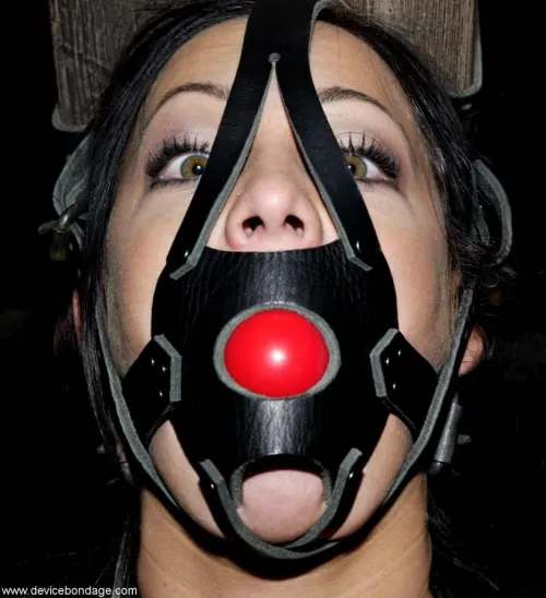 Harness gags are the best gags