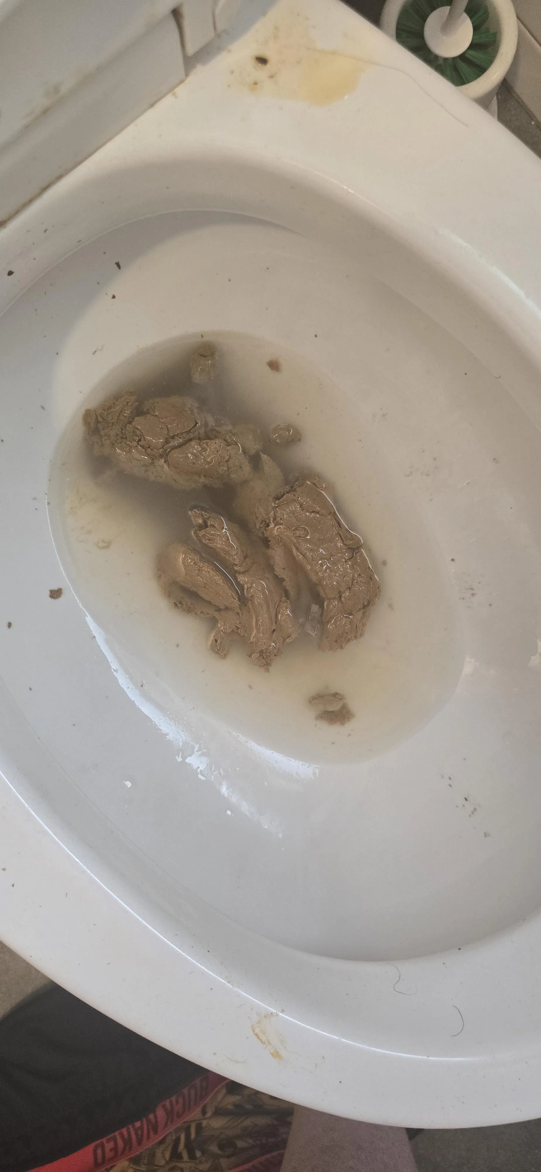 I took a pretty massive dump and it was really hot