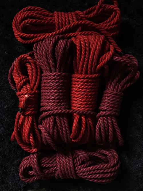 My birthday present from master came 🥰