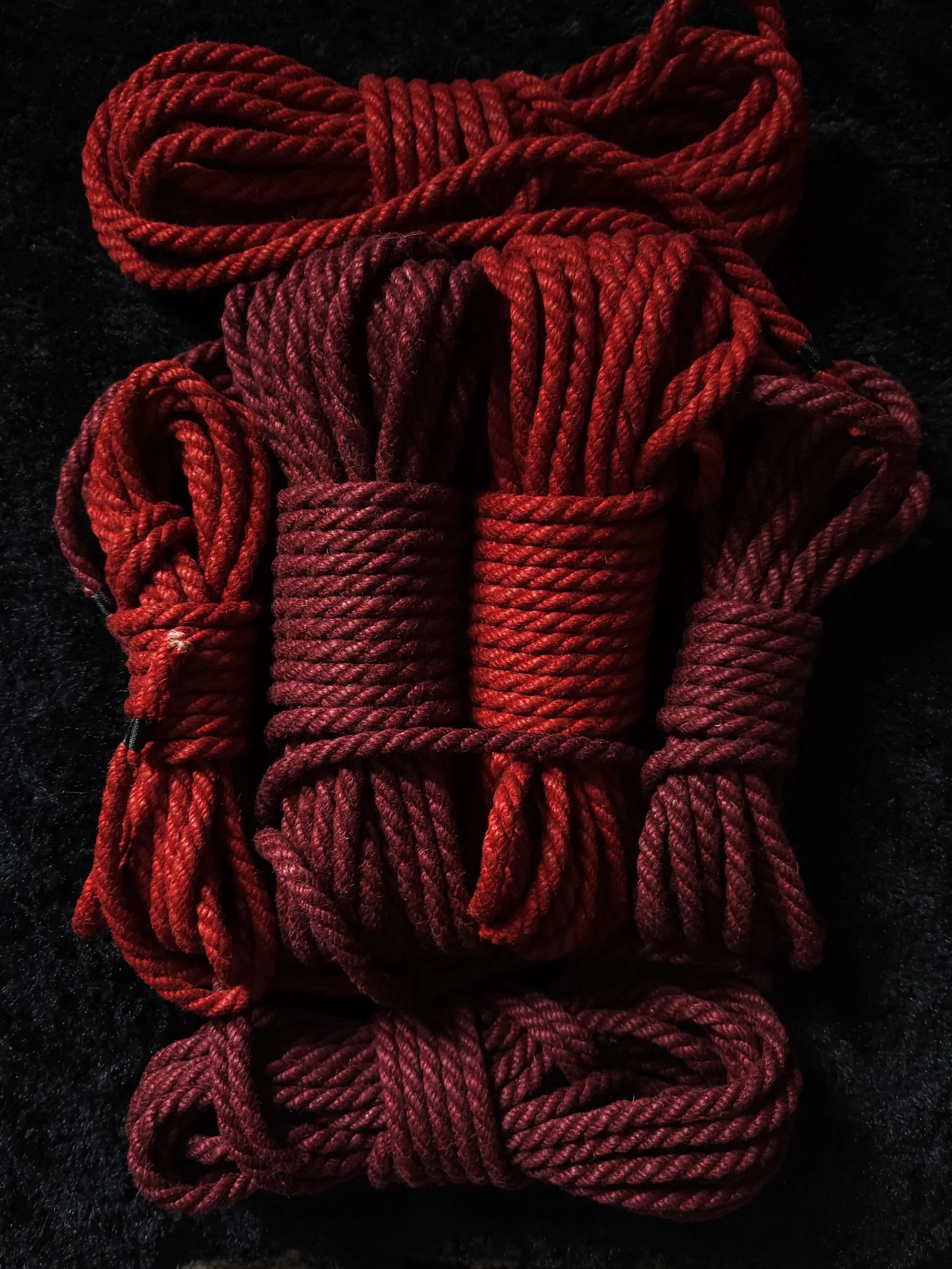 My birthday present from master came 🥰