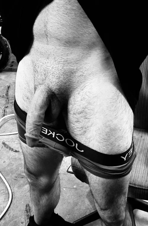 Needing a bull or a BWC for your wife, friend, or even yourself!? I have it for you!