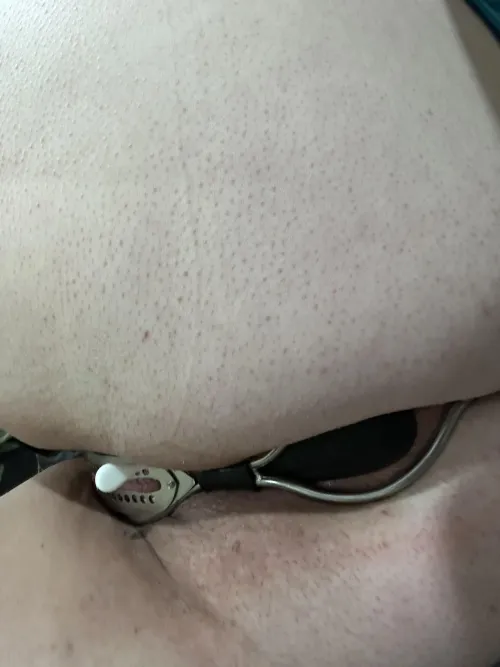 Plug and Ben wa balls in me