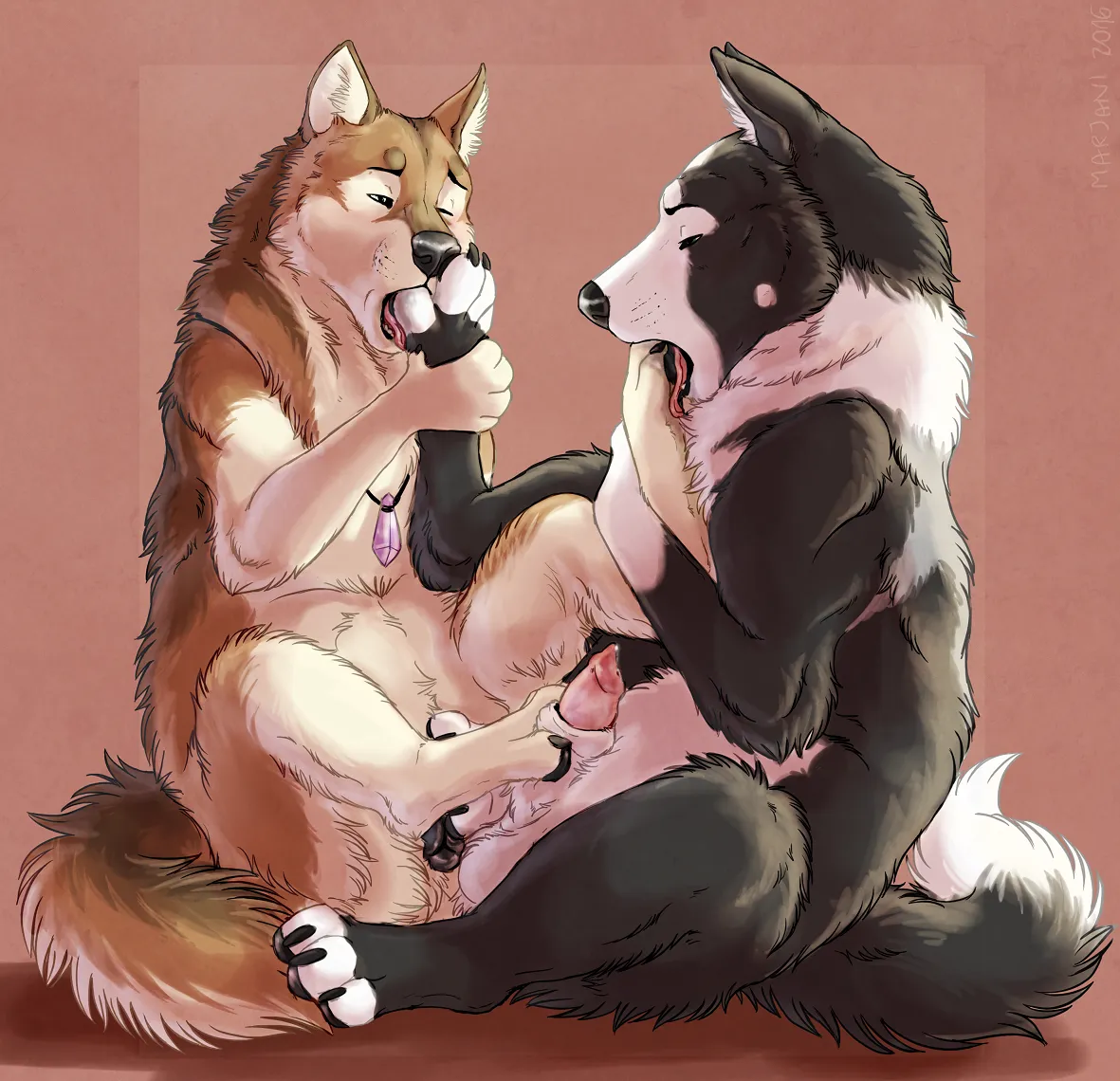 Team work makes the paws work (marjani)