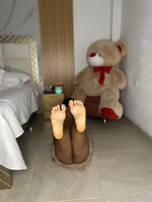 Teddy wants my feet as well