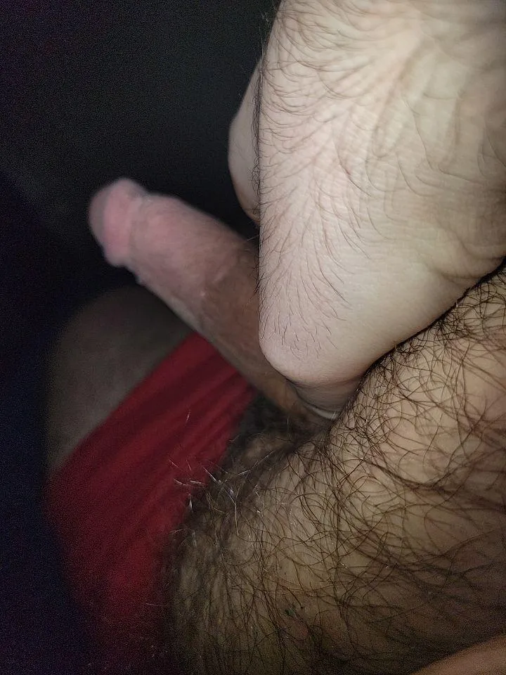 WHITE DADDY LOOKING FOR SOME CHOCOLATE HMU