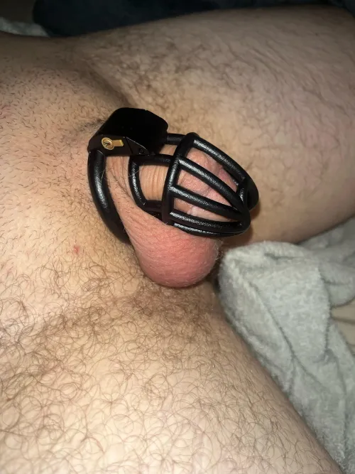 Day 3 (thinking I might want a size down)