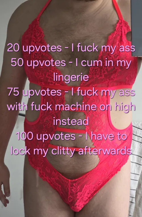 First time upvote task - 48 hours