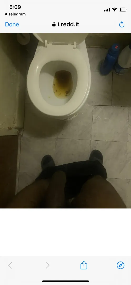 Morning scat