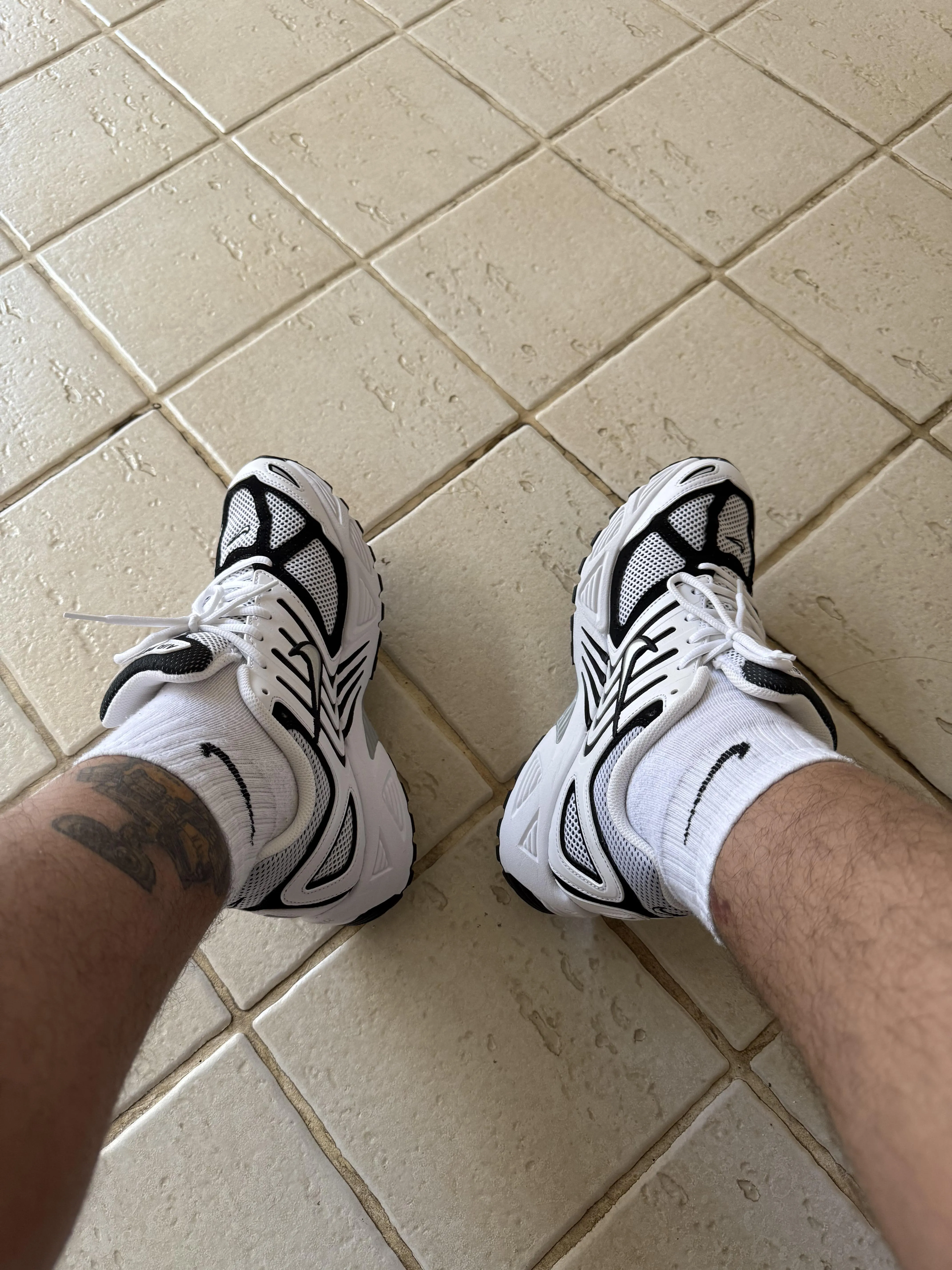 My new Pegasus