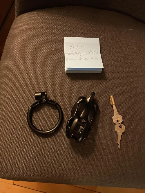 [US][Trade][Cobra S+ and Ring 4][ISO Viper N+ and Ring 3]