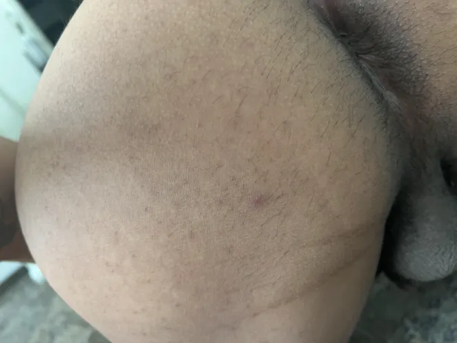 35 Petaluma hosting for bbc/bwc